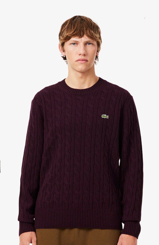 LACOSTE MAGLIA Uomo Maglieria AH2924