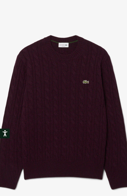LACOSTE MAGLIA Uomo Maglieria AH2924